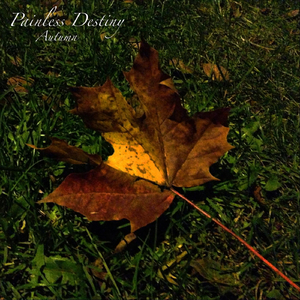 大陆耄耋老太太交性HD
